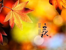  立秋已至，春季家具若何颐养？
